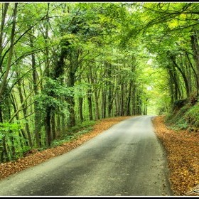 1398697-yol-hikayeleri
