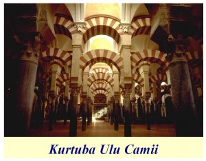Ulucami